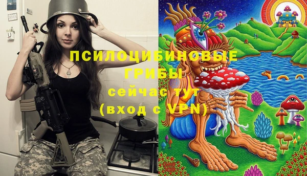 марки lsd Мегион