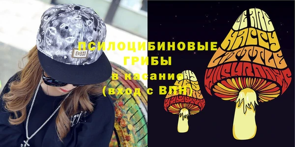 мяу мяу мука Медвежьегорск
