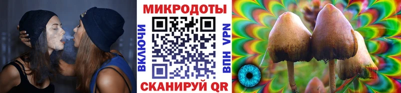закладки  Юрюзань  Галлюциногенные грибы Psilocybine cubensis 